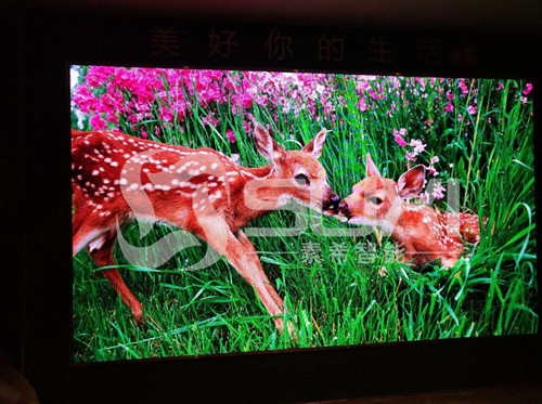 江西金科某樓盤(pán)展廳采用素希p3LED室內(nèi)全彩顯示屏