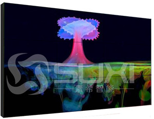 當(dāng)端午節(jié)遇上父親節(jié)感恩歡笑畫(huà)面都由上海素希液晶拼接屏高清呈現(xiàn)